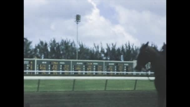 Miami Stany Zjednoczone Czerwiec 1966 Konie Torze Wyścigowym Latach Tych — Wideo stockowe
