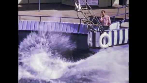 アメリカ合衆国サンタモニカ1981年6月 80年代のマリーランドイルカショーシーン — ストック動画