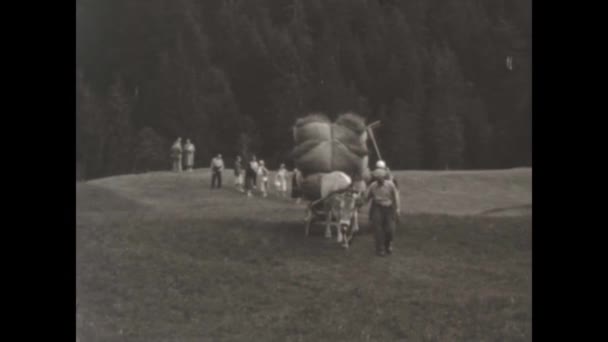 Dolomiter Italien Maj 1955 Dagliga Liv Scener Italienska Bönder Talet — Stockvideo