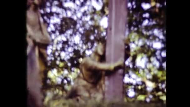法国卢尔德 1980年6月 80年代卢尔德朝圣场景中的人民和信徒 — 图库视频影像