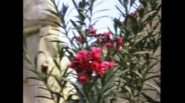 Luxor, Mısır Mart 1977: 70 'lerde Lüksemburg Mısır tapınağı manzarası