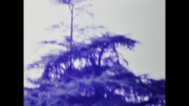 Pisa, İtalya Nisan 1984: Pisa şehir manzaralı 80 'ler