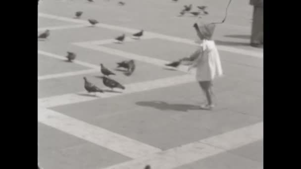 Venice Italy August 1952 Little Girl Pigeons Venice Scene 50S — Video
