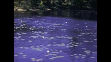 San Diego, ABD Haziran 1947: 40 'larda Kaliforniya manzaralı küçük göl