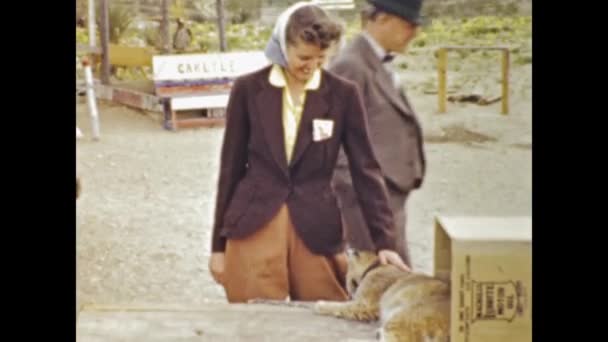San Diego United States June 1947 Man Caresses Lynx Scene — Vídeo de stock
