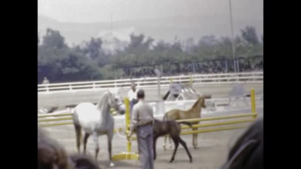 San Diego United States May 1947 Horse Racing Hippodrome 40S — Video Stock