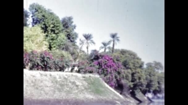 Cairo Egypte Juni 1947 Nijl Uitzicht Rivier Jaren — Stockvideo