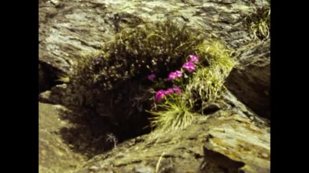 Ascona Switzerland May 1984 Dolomites Natural Scenary 80S — Stock Video