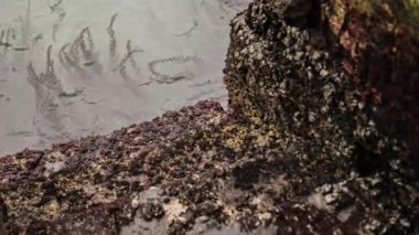 Sea corrosion on concrete scene detail