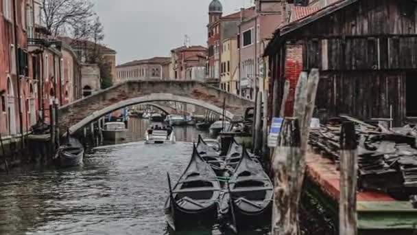Сцена Строительства Гондолы Венеции — стоковое видео
