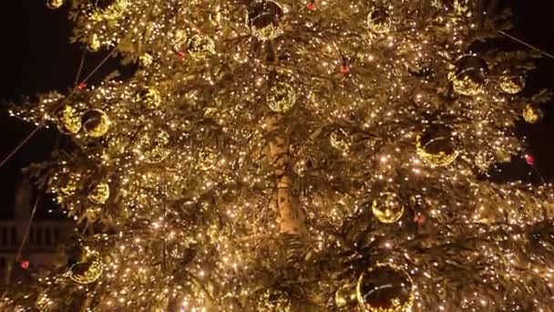 威尼斯圣诞树的细节场景 — 图库视频影像