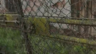 Rusty Old Gate - A symbol of time and decay