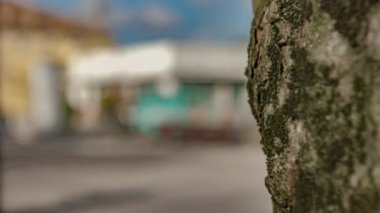 Old Maintenance Truck on the Road