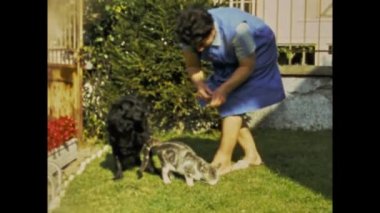 Copenhagen, Denmark may 1968: A vintage footage showing a woman feeding her pets in a backyard garden in the 1960s