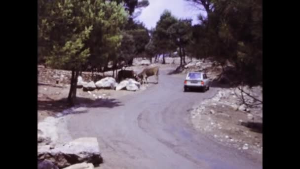Viserba Italia Juni 1975 Sebuah Rekaman Bersejarah Yang Menunjukkan Orang — Stok Video