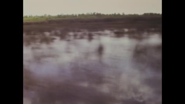 Miami United States June 1979 Historical Video Showcasing Airboat Ride — Vídeo de stock