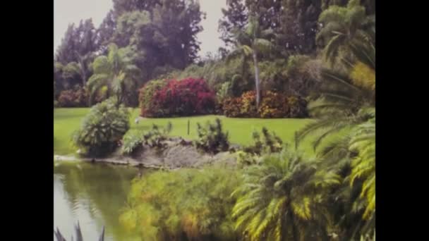 美国迈阿密 1979年6月 一个展示粉红火烈鸟的历史视频 — 图库视频影像