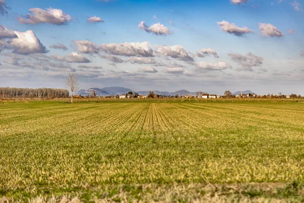 Picturesque landscape of the Po Valley, with its vast fields of crops and charming country roads. Perfect for projects related to agriculture, rural living, and the beauty of Italian countryside