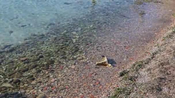 Serene Footage Crystal Clear Water Shoreline Lake Garda — 图库视频影像