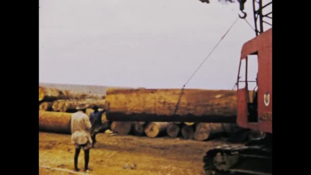 킨샤사 1975 우림에서 무거운 목재를 운반하고 운반하는 과정을 — 비디오