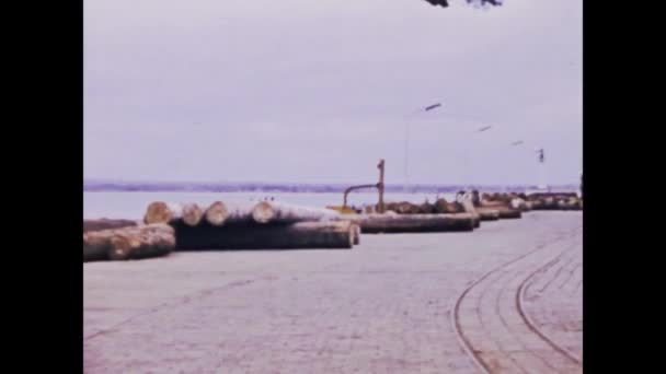 Kinşasa Kongo Haziran 1975 Kongo Nehir Limanındaki Kargo Gemilerine Ağır — Stok video
