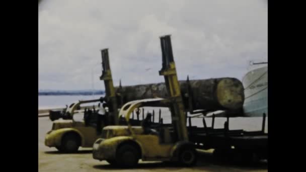 コンゴキンシャサ1975年6月 コンゴ熱帯雨林における木材伐採の移動と運搬の複雑な過程を目撃 — ストック動画