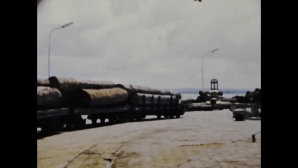 コンゴキンシャサ1975年6月 コンゴ熱帯雨林における木材伐採の移動と運搬の複雑な過程を目撃 — ストック動画