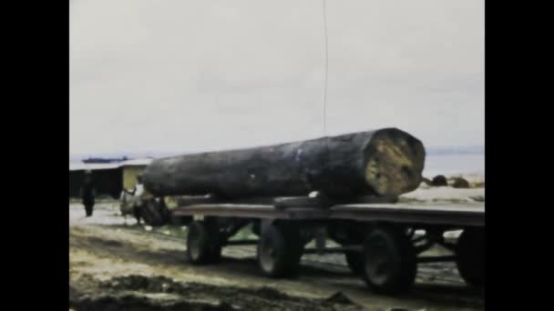 刚果金沙萨 1975年6月 目睹刚果热带雨林中运送和运送重木的复杂过程 — 图库视频影像