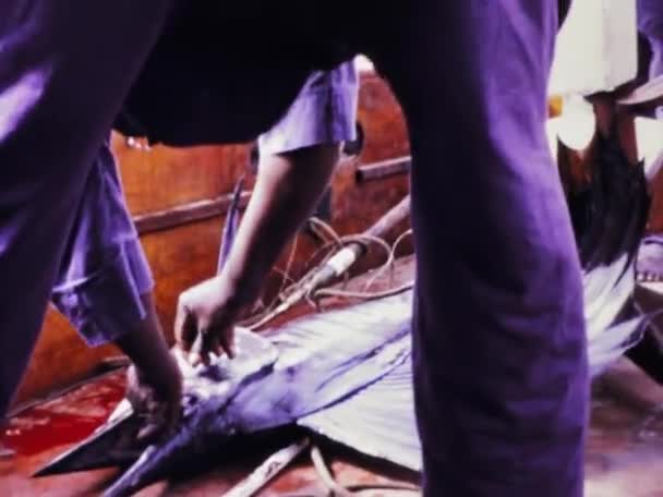 Гор Сенегал Червень 1970 Зануритесь Жваву Риболовну Культуру Острова Грі — стокове відео