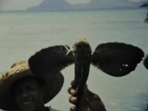 Sainte Anne Γουαδελούπη Ιούνιος 1975 Εξερευνήστε Τις Παραδοσιακές Τεχνικές Αλιείας — Αρχείο Βίντεο