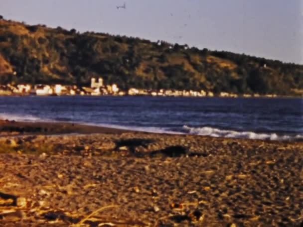 1975年6月 马提尼克岛佩利山 通过这段历史片段 以标志性的佩利山作为令人叹为观止的背景 发现马提尼克岛美丽的海滩风景 — 图库视频影像