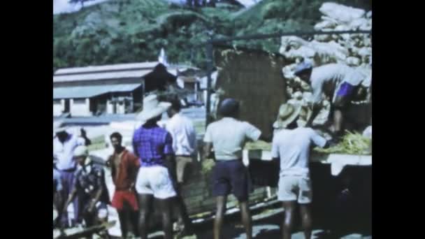 Sainte Anne Γουαδελούπη Ιούνιος 1975 Παρακολουθήστε Ειδικευμένο Μαύρο Λιμενεργάτες Ξεφορτώνουν — Αρχείο Βίντεο