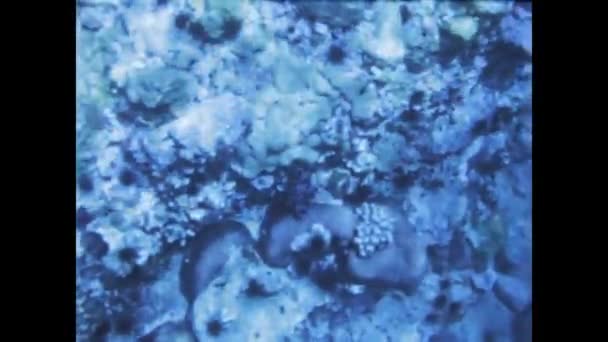 Sainte Anne Guadeloupe June 1975 Dive Crystal Clear Waters Caribbean — Stock Video