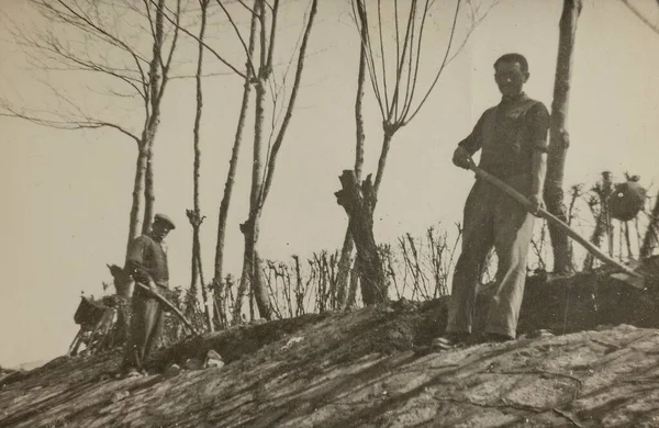 1941年 昭和16年 5月イタリア ローマ 1940年代の農家の骨の折れる仕事と忍耐を捉えたヴィンテージ写真 — ストック写真