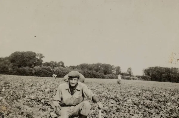 Рим Італія 1951 Рік Вінтажна Фотографія Фермера Який Працював Полях — стокове фото