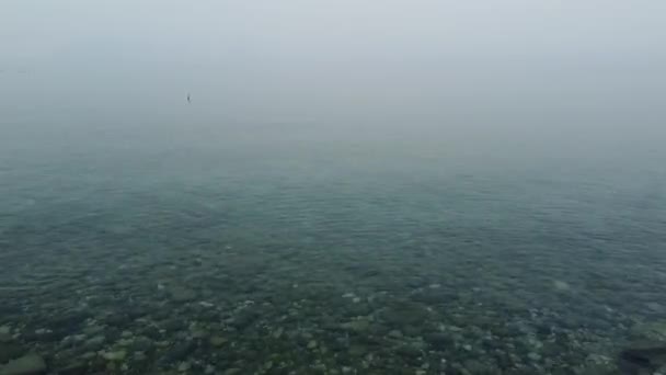 Захватывающий Снимок Безмятежного Озера Окутанного Туманом Вызывающего Чувство Покоя Спокойствия — стоковое видео