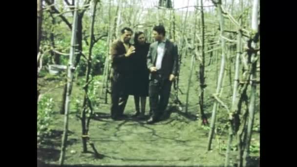 1968年6月 意大利罗马 见证了1960年代的农业生活 这段古老的录像记录了一位土地所有者在自家地产上察看庄稼的情景 — 图库视频影像