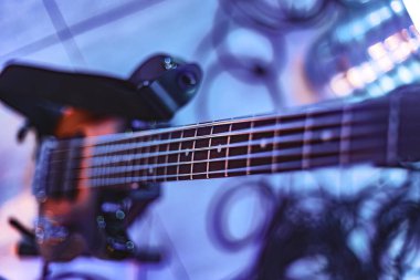 Düşük açılı bir perspektiften çekilen bir sapın ayrıntılı yakın çekim görüntüsü.