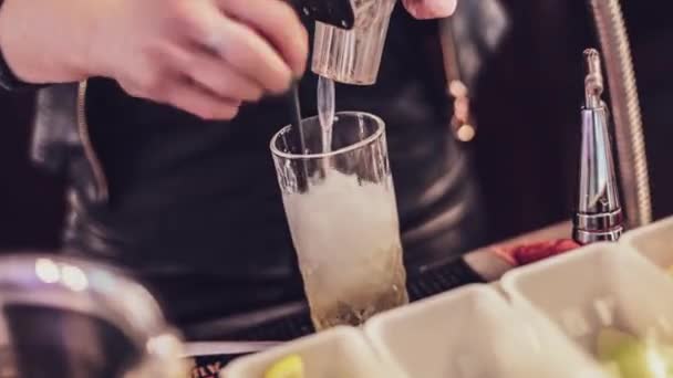 Guarda Come Abile Barista Crea Abilmente Cocktail Squisiti Con Precisione — Video Stock