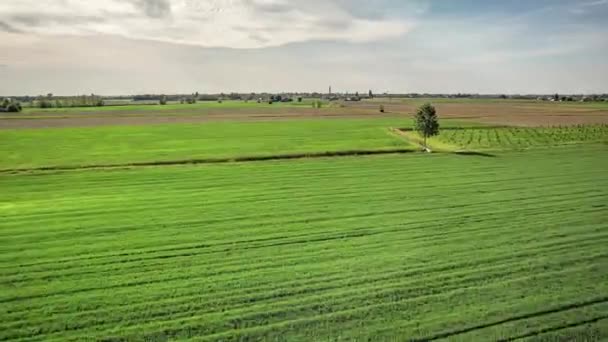 Adembenemende Luchtfoto Van Levendige Groene Landschappen Van Het Vruchtbare Italiaanse — Stockvideo