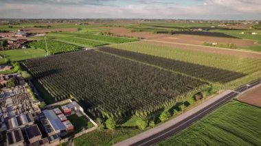 Venedik kırsalındaki yemyeşil, yemyeşil tarlaların sersemletici hava görüntüleri, gün batımının sıcaklığıyla güzelce aydınlatılıyor..