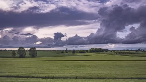 タイムラプス 北イタリアのポーバレーの緑豊かなフィールド上の不吉な嵐の雲の高速度ビデオ — ストック動画