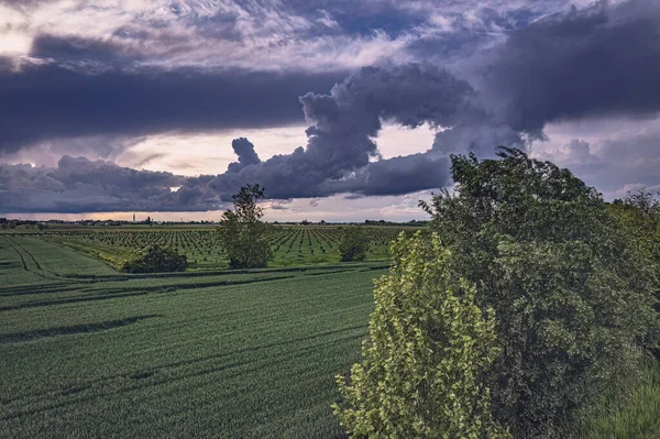 stock image Threatening storm clouds looming over the lush fields of the Po Valley, a sight of nature's power in Northern Italy