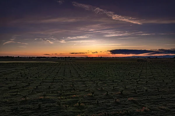 Cativando Pôr Sol Laranja Sobre Campos Verdejantes Vale Paraíso Rural — Fotografia de Stock