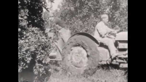 Dolomiti Italia Maggio 1950 Testimonianza Delle Pericolose Pratiche Agricole Degli — Video Stock