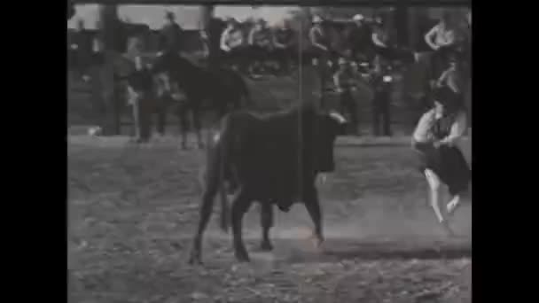 1950 기수가 1950 대로데오 행사에서 돌진하는 황소와 심장이 멈추는 순간을 — 비디오
