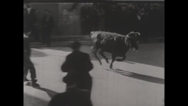 Pamplona Spanyolország 1950 Júniusa Tapasztalja Meg Bikák Híres Futásának Adrenalinnal — Stock videók