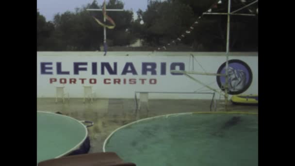 Mallorca Španělsko Červen 1977 Ponořte Podmanivé Delfíní Show Let Předvést — Stock video
