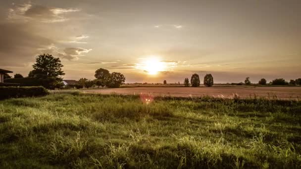 暖かい光の中で輝くオレンジ色の夕日が有機的な田園地帯を入浴する風景 — ストック動画