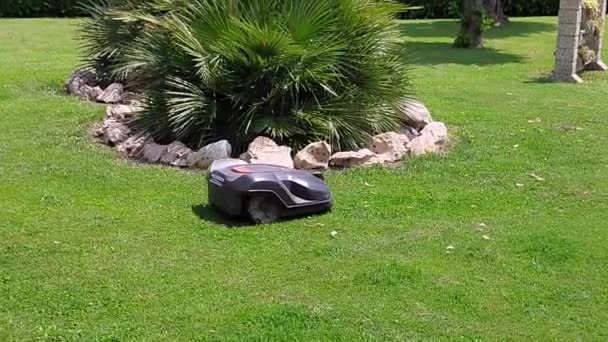 Cortador Grama Robótico Automatizado Mantendo Diligentemente Jardim Tornando Cuidado Gramado — Vídeo de Stock